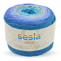 gomitolo sesia cotone iride 1575